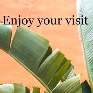 DRESSES BAGS PURSES SHOES SWEATERS SKIRTS TOPS PETS ETC….